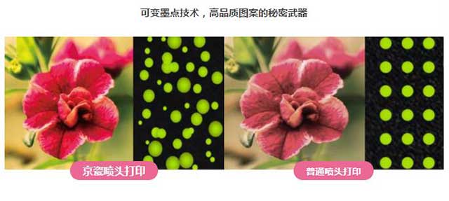  91视频地址入口數碼